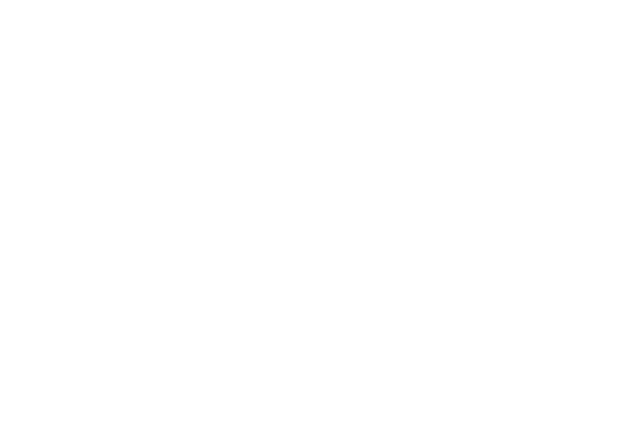 Summerfest Sleepy Eye